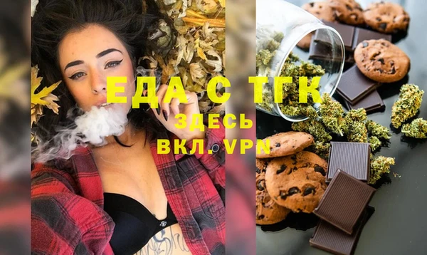 индика Новозыбков