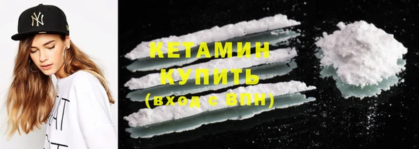 индика Новозыбков
