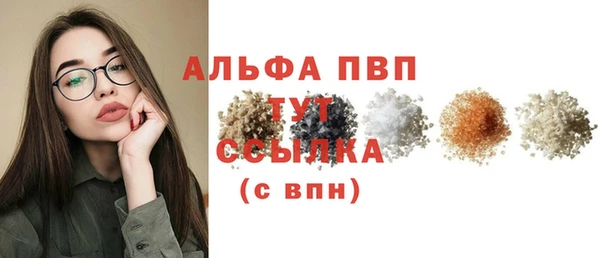 индика Новозыбков