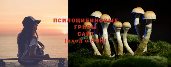 гидропоника Нязепетровск