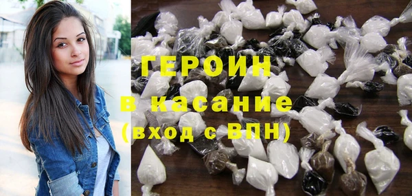 индика Новозыбков