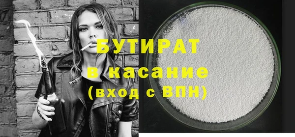 индика Новозыбков