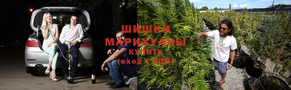каннабис Новодвинск
