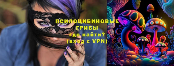 а пвп мука Няндома