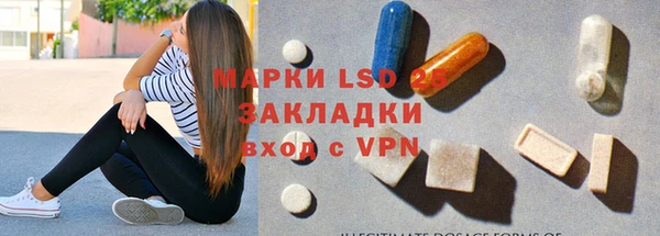 индика Новозыбков