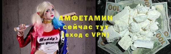 индика Новозыбков