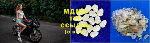 индика Новозыбков