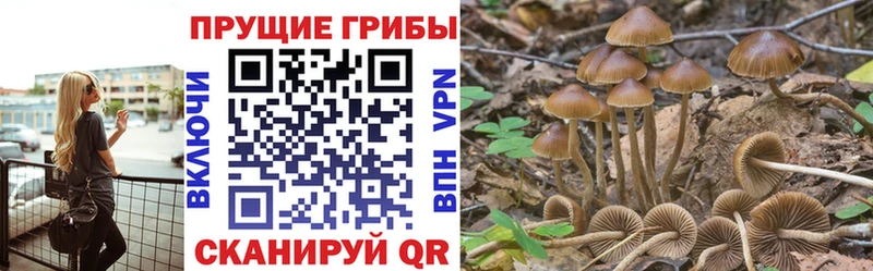 ОМГ ОМГ ссылки  продажа наркотиков  Советский  Псилоцибиновые грибы ЛСД 