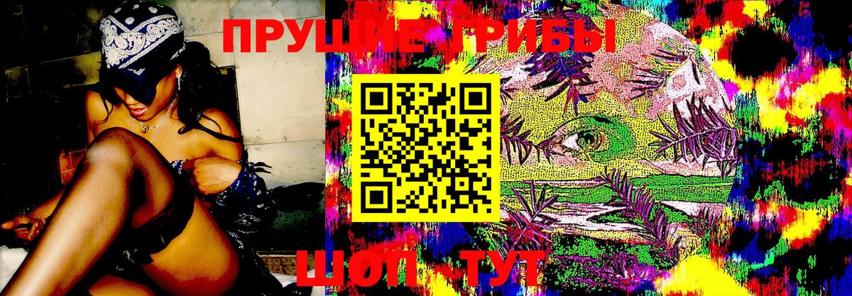Советский  Псилоцибиновые грибы Psilocybine cubensis  купить наркотики сайты  Вход с VPN 